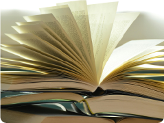 法规法条 免费阅读